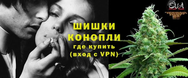 гидра Краснослободск