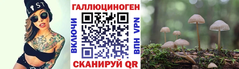 Псилоцибиновые грибы Magic Shrooms  Болгар 